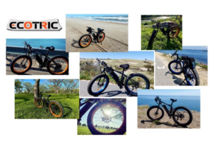 Ecotric Fat Tire Electric Bikes